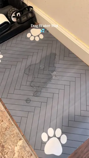 I don’t know why it took me so long to get this #petfoodmat #dogwater #dogmommus