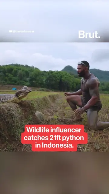 Wildlife influencer Mike Holston (@therealtarzann) has often gone viral for his 