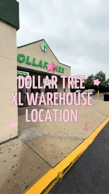 so @Dollar Tree has XL warehouse size stores and they are literally amaaaazing! 