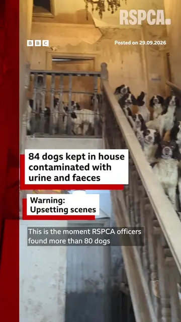More than 80 dogs were left to "breed by themselves" at this house in Yorkshire,