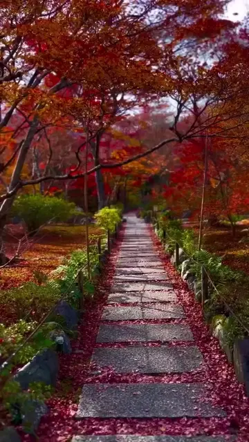 When Silence Becomes More Beautiful Than Words… 🍂🤎 Some moments need nothing b