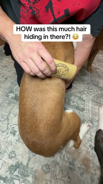 If it sheds, this thing is about to become your new best friend 😂🐾 It grabs lo