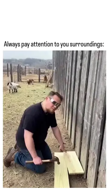 better start paying attention🤣🤣#tt #fyp #funny #surroundings #payattention 