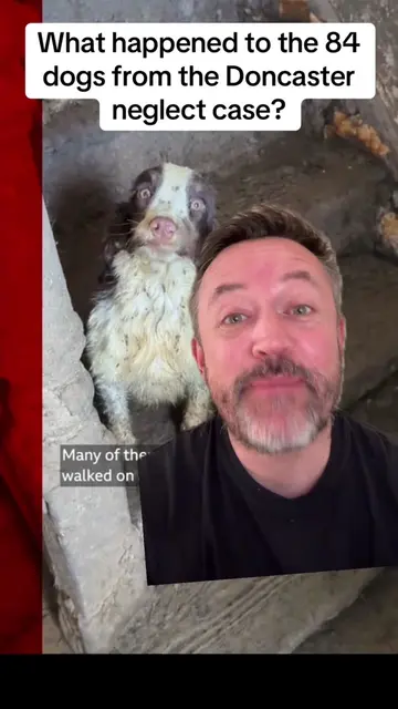 When the RSPCA found 84 dogs living in squalor in a house in Doncaster, it was d