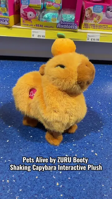 Cue the music, because Pets Alive Booty Shakin' Capybara is ready to dance! This