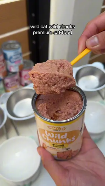 one of our faves premium wet food for cats #wildchunks #wildcatwildchunks #catwe