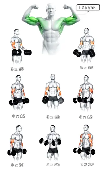 Try These Biceps Exercises — You Won’t Believe the Results! #BicepsWorkout #Bice