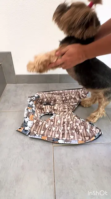 🇩🇪 🐾 Handgemacht für kleine Fellnasen! 🧵✨ Diese süße Jacke wird mit viel Lie