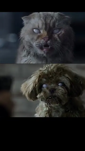 How to make a zombie pet video How to make a zombie video where he shoots at a g