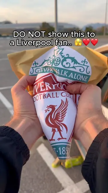 Link in bio to buy🔗🚘⚽️ #car #football #projector #fans #liverpoolfc 
