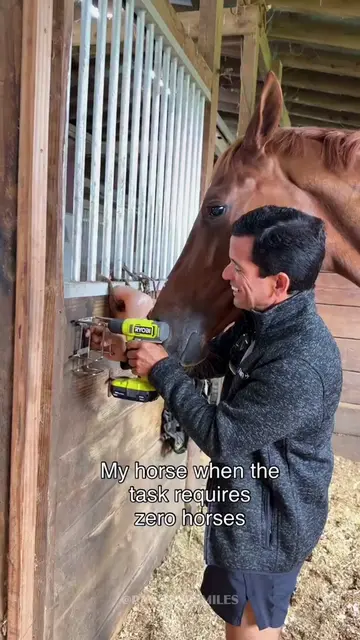 They’re Helping… In Their Own Way 😂#farmanimals #animalsoftiktok #funnyanimals 