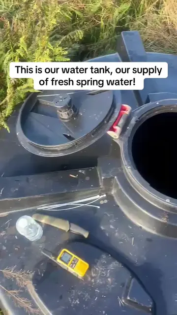 Remember if you buy a rural property always check your water tanks 🤮 #springwat
