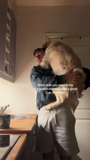 This morning routine over anything #golden #goldenretriever #dog #coffee 