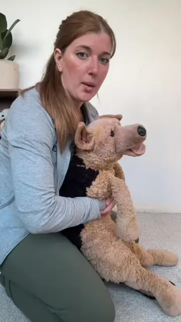 What to do if your dog is choking 🐶❗️  Don’t forget to save and share - this co