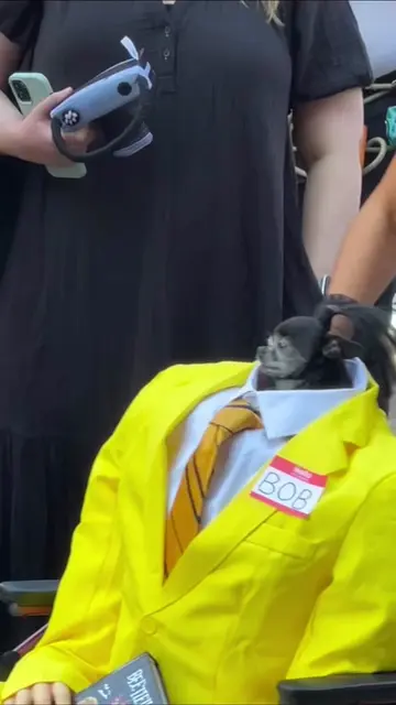 Halloween dog costumes #halloween #dog #dogsoftiktok #funny #costume 