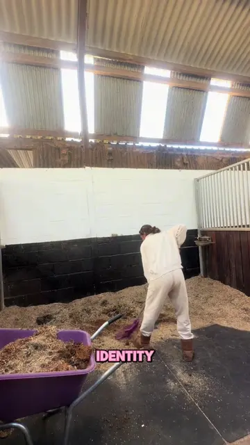 Full muck out day! #smallcreatorsupport #equestrianlife #horseoftiktok #equine #