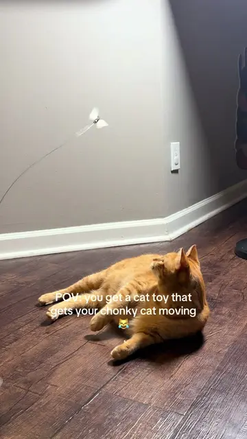 Literally one of my boys favorite toys 😻 #catenrichment #interactivecattoy #cat