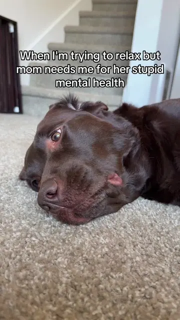 She is my mental health dog that actually just stresses me out more. Good things
