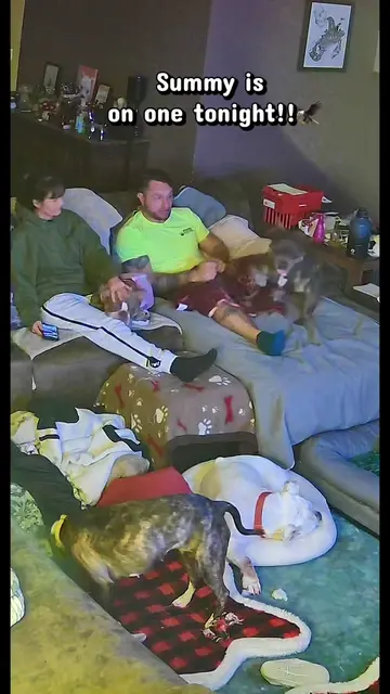 WYZE cam quality: questionable.   Summer’s behavior: crystal clear. 😭😆 It’s fa