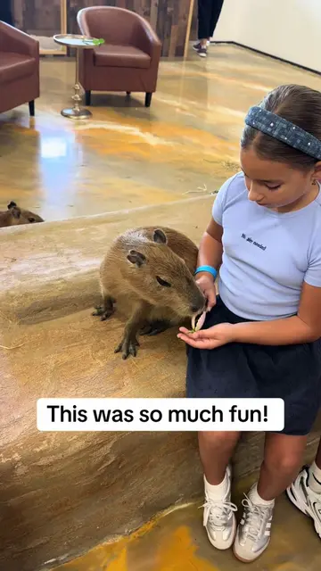 Lissa found this place online and we knew the kids would love it. It was funny b