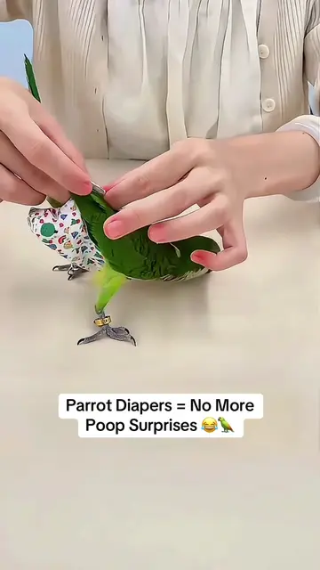 Let your parrot roam freely around the house without messy poops. Cute floral‑pa