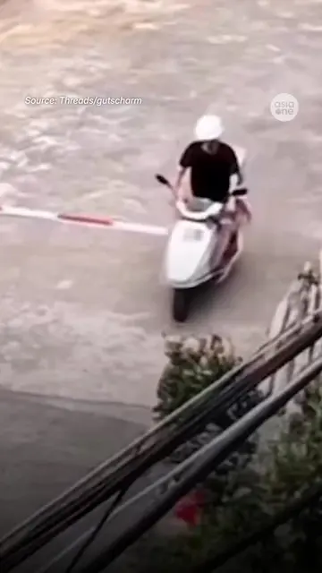 Watch till the end, wait for it. More accurate than any swings at the golf cours