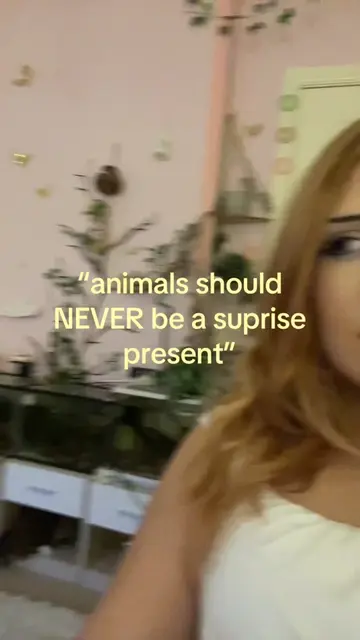 unless research and preparation has been done, PLEASE never buy anyone a pet, es
