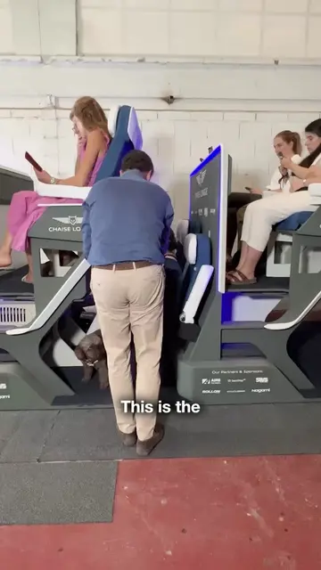 Will these double-decker airplane seats "take off?"? ✈️🤣 #airplane #plane #seat