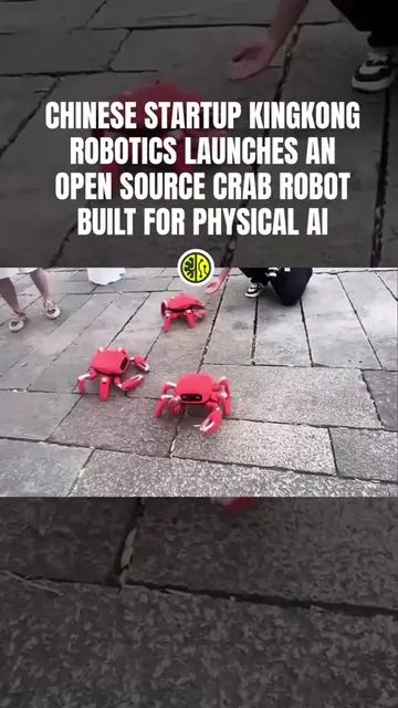 KingKong’s robot, called Jumper, uses a crab style multi leg design with 22 tact