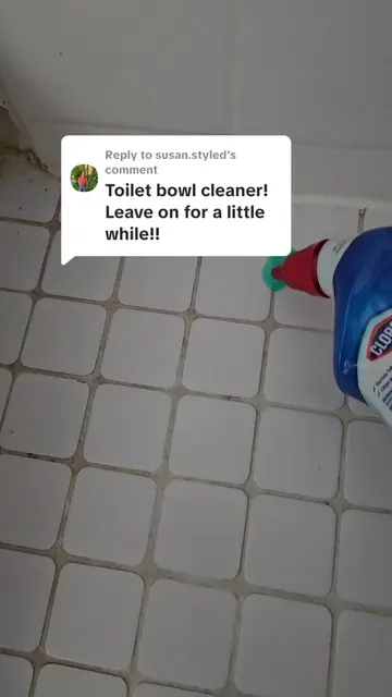 Replying to @susan.styled #cleaning #housecleaning #groutcleaning 