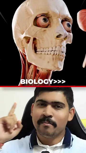 Biology is now Your Favourite Subject 😱 This is a 3D anatomy model from biodigi