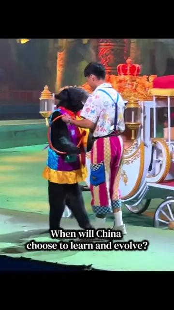 [READ HERE] Did you know China has no animal welfare laws? Link page in bio with