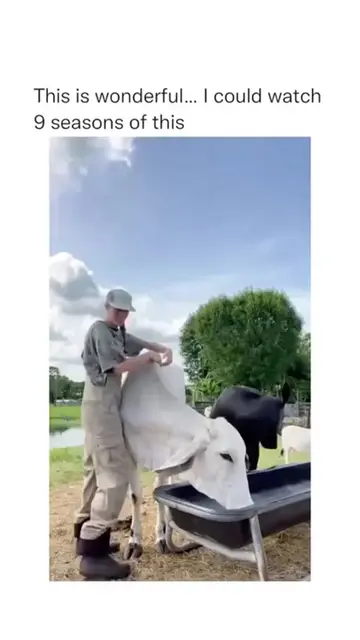 I could watch Emmanuel all day long!! #fyp #lol #funny #animal #viral 