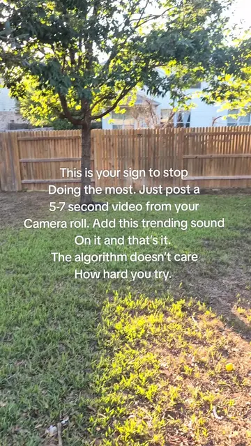 Small Creators, if you want to grow and grow fast stop overthinking content crea