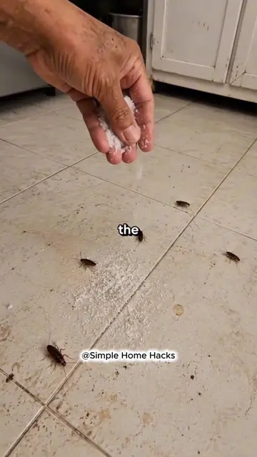 🧂🌟 Sprinkle Salt on Your Floor and See This Amazing Cleaning Trick! 🏠🌟#hacks