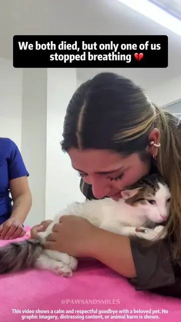 The Hardest Part of Loving a Cat💔#catsoftiktok #cats #catlover #petloss #rainbo