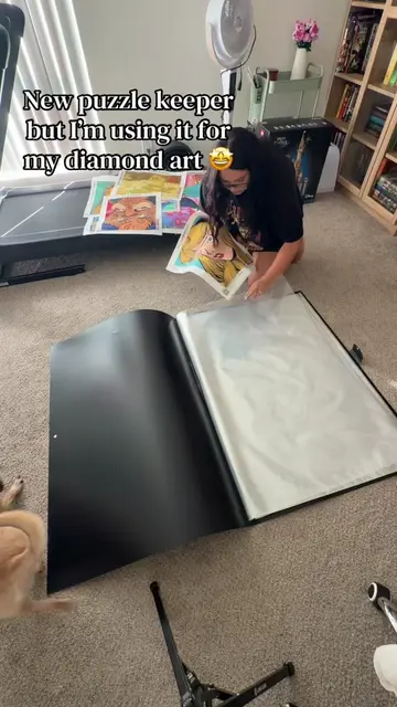 Finally have a place to store my completed diamond art. Before they were hanging