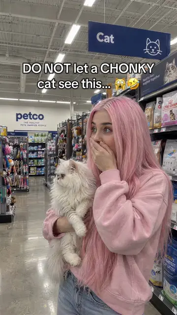Cat lovers comment the word “CAT” if your cat needs this! 😹🧀 #catgame #catlove