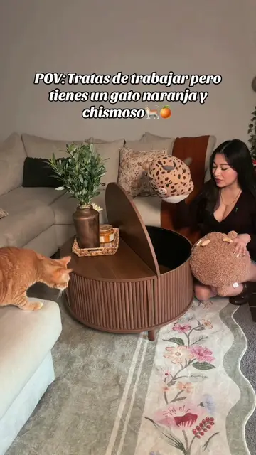 Luego me dicen que yo lo pongo a propósito pero el es un chismoso y quiere ser e