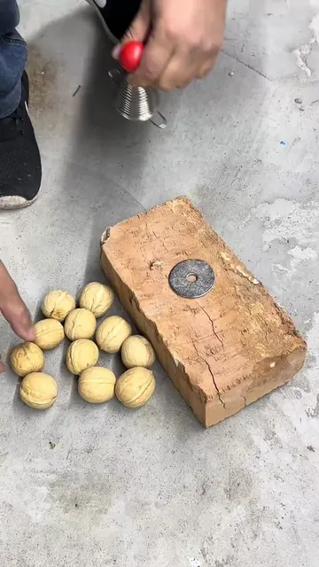 Metal Spring Nut Cracker Gadget
