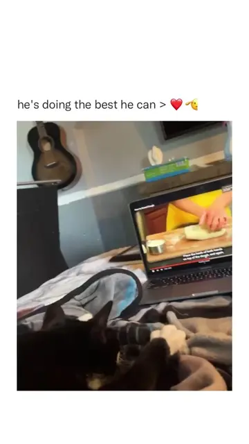 🐾🐱❤️🥰🫶🏼😂😂 author unknown 