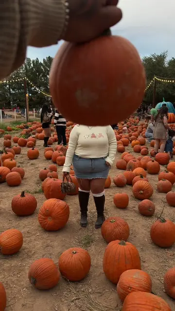 pumpkin patch edition🎃🧸🍁                      #melanieangelese #pumpkinpatcho