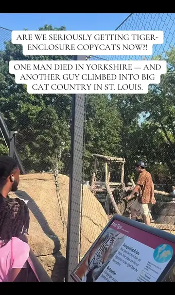 Please Tell Me We Are Not Starting a Tiger-Enclosure Copycat Trend I need everyo