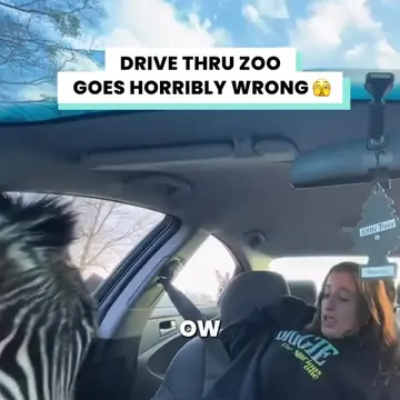 Our drive-thru zoo trip turned into a NIGHTMARE… 😱🦓 We thought driving through
