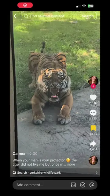 That tiger ain’t playing #viral #fyp #trending #mikeygolive 