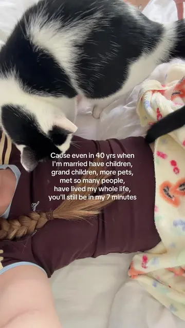 I’m hysterical x  #cats #catsoftiktok 