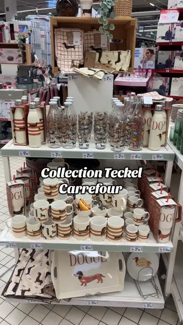 Collection Teckel dans les Carrefour, Leclerc & Maxi Bazar 🌭🐾 @Carrefour Franc