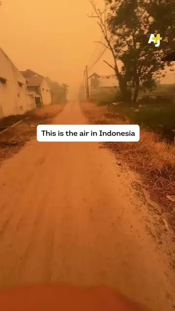 This is how Indonesia’s skies look after months of wildfires. #Weather #Indonesi