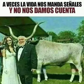 #Humor #comedia 