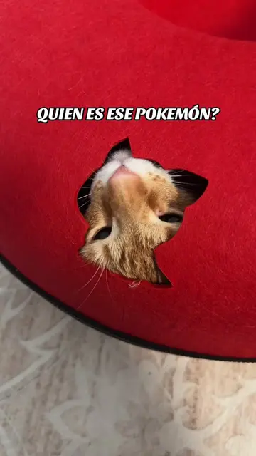 Quien es ese pokemón legendario?😳 #toronjoso #botellondefanta #gatonaranja #pok